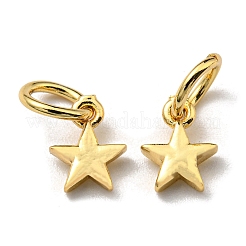 Brass Charms&nbsp;KK-K341-15G