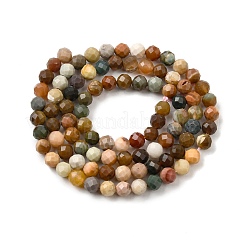 Natural Agate Beads Strands&nbsp;X-G-G991-A03-A-01A