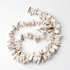 Natural Tiger Cowrie Shell Beads Strands&nbsp;BSHE-O016-24