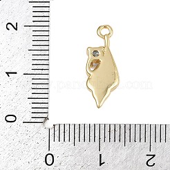 Brass Micro Pave Cubic Zirconia Pendants&nbsp;KK-I352-34G-01