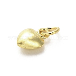 925 Sterling Silver Pendants&nbsp;STER-P057-07A-G