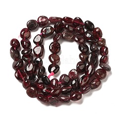 Natural Garnet Beads Strands&nbsp;G-L608-A06-01