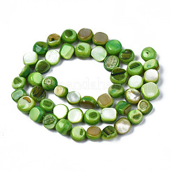 Natural Trochid Shell/Trochus Shell Beads Strands&nbsp;SHEL-S258-083-B05