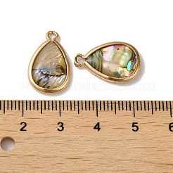 Natural Paua Shell Resin Pendants&nbsp;KK-F865-24G