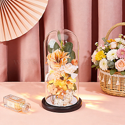 Clear Glass Dome Cover&nbsp;ODIS-WH0177-017A-02