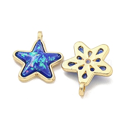 Translucent Resin Pendants&nbsp;KK-M291-24D