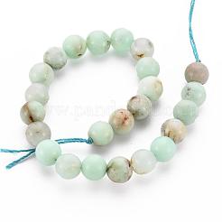 Natural Chrysoprase Beads Strands&nbsp;G-S333-8mm-037