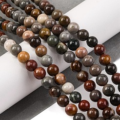 Natural Picture Jasper Beads Strands&nbsp;G-H037-A01-01