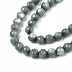 Natural Freshwater Shell Beads Strands&nbsp;X-SHEL-N003-24-B01