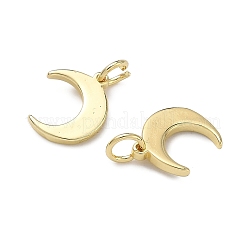 Brass Pendants&nbsp;KK-H256-08G