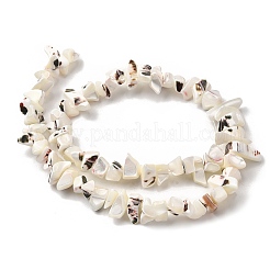 Natural Trochid Shell/Trochus Shell Beads Strands&nbsp;SHEL-B003-02J