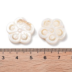 Natural Freshwater Shell Pendants&nbsp;SHEL-D082-09A