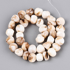 Natural Freshwater Shell Beads Strands&nbsp;SHEL-T020-17