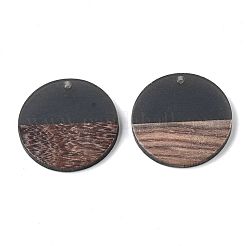 Transparent Resin & Walnut Wood Pendants&nbsp;RESI-S358-02B-H-M