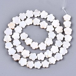 Natural Freshwater Shell Beads Strands&nbsp;SHEL-S276-111