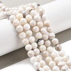 Natural Persian Jade Beads Strands&nbsp;G-A255-A02-02K