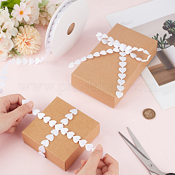 18M Heart Polyester Lace Ribbon&nbsp;OCOR-CY0004-11A