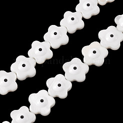 2 Strands Natural Freshwater Shell Beads Strands&nbsp;SHEL-TA0001-45