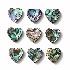 Abalone Shell/Paua Shell Beads&nbsp;LS-SHEL-T005-01