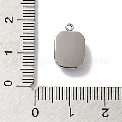 304 Stainless Steel Glass Pendants&nbsp;STAS-L022-062P-08