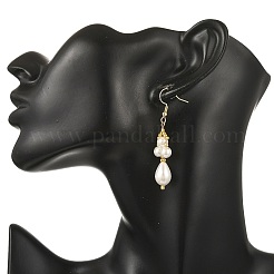 Glass Beaded Dangle Earrings&nbsp;EJEW-MZ00748