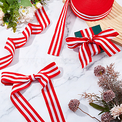 24Yards Polyester Ribbon&nbsp;OCOR-DC0001-29B