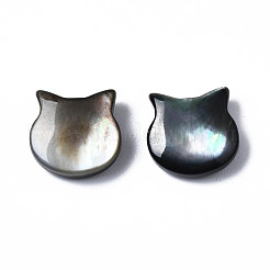 Natural Black Lip Shell Beads&nbsp;SSHEL-S258-99A