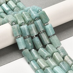 Natural Amazonite Beads Strands&nbsp;G-N327-06-10