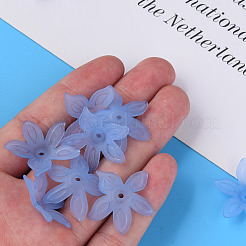 Transparent Acrylic Beads&nbsp;MACR-S373-127-D04