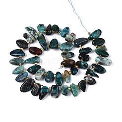 Natural Chrysocolla Beads Strands&nbsp;G-Z091-A46
