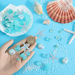 8 Styles Transparent & Opaque Resin Cabochons&nbsp;RESI-SP0001-08