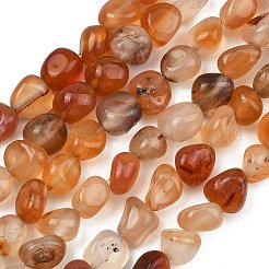 Natural Agate Beads Strands&nbsp;GG-C286-A25-01