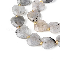 Natural Labradorite Beads Strands&nbsp;LS-G-P592-B14-01
