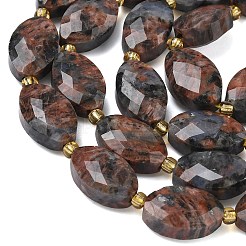 Natural Red Labradorite Beads Strands&nbsp;G-A295-A02-01