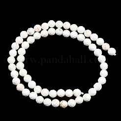 Natural Magnesite Beads Strands&nbsp;G-Z143-D01-6mm