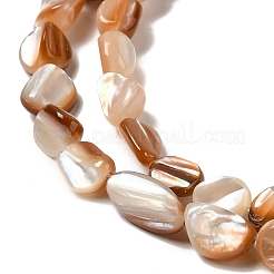 Natural Sea Shell Beads Strands&nbsp;SHEL-K006-16A
