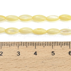 Natural Freshwater Shell Beads Strands&nbsp;SHEL-C010-01B
