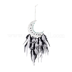 Iron Woven Web/Net with Feather Pendant Decorations&nbsp;AJEW-B017-21