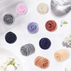 50G 10 Colors Needle Felting Wool Roving&nbsp;DIY-CP0013-77A