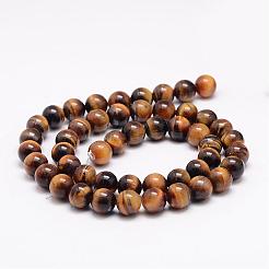 Natural Tiger Eye Bead Strands&nbsp;G-K153-B39-8mm-AB