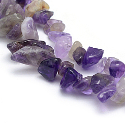 Natural Amethyst Beads Strands&nbsp;X-G-P332-07
