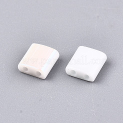 FGB 2-Hole Glass Seed Beads&nbsp;SEED-S031-L-ST41-R