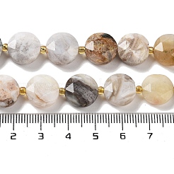 Natural Crazy Lace Agate Beads Strands&nbsp;G-NH0004-032