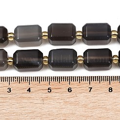 Natural Botswana Agate Beads Strands&nbsp;G-P611-A02-02