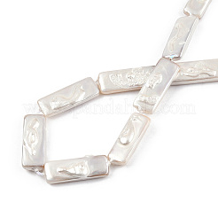 Plating Natural Freshwater Shell Beads Strands&nbsp;X-SHEL-N026-231