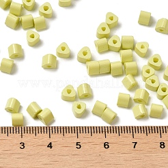 Baking Paint Glass Bead&nbsp;SEED-H002-K-D321