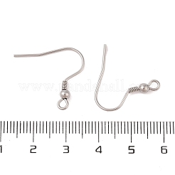 Tarnish Resistant 316 Surgical Stainless Steel Earring Hooks&nbsp;STAS-N106-06P