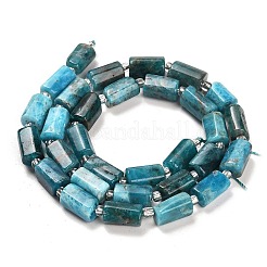 Natural Apatite Beads Strands&nbsp;G-G068-A11-01