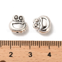 Tibetan Style Alloy Beads&nbsp;FIND-C043-080AS