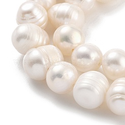 Natural Cultured Freshwater Pearl Beads Strands&nbsp;PEAR-C003-01C